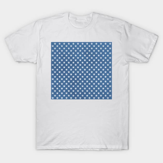 Stars and Stripes T-Shirt by Toby Wilkinson